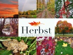 Herbst- Collage